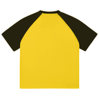 Color-Blocked Raglan Sleeve T-Shirt